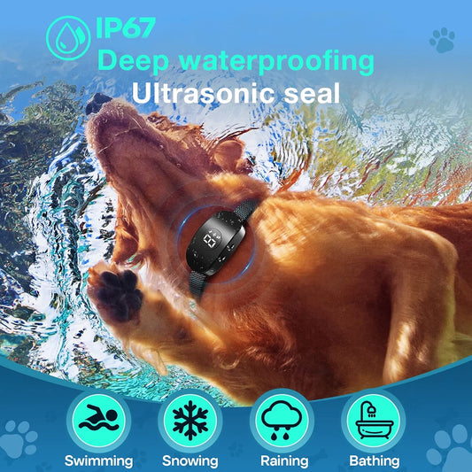 S7e592e0479fc4fc2af2c9650736d6aa5n